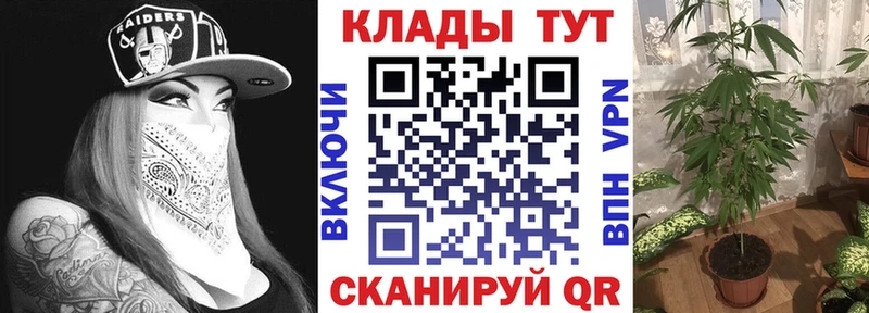 Магазин наркотиков Воронеж КЕТАМИН Канабис МЕТАДОН Меф мяу мяу ГАШИШ blacksprut ссылка Галлюциногенные грибы Cocaine
