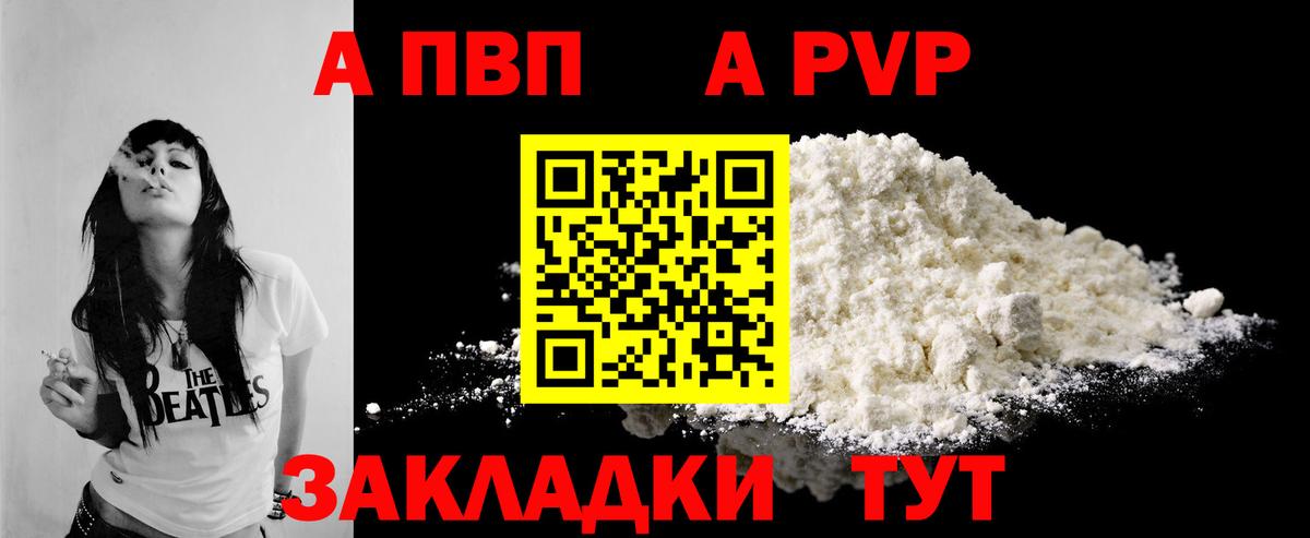 A PVP СК КРИС Воронеж