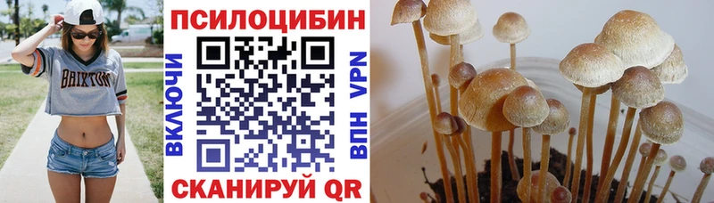 Псилоцибиновые грибы Psilocybine cubensis  Воронеж 