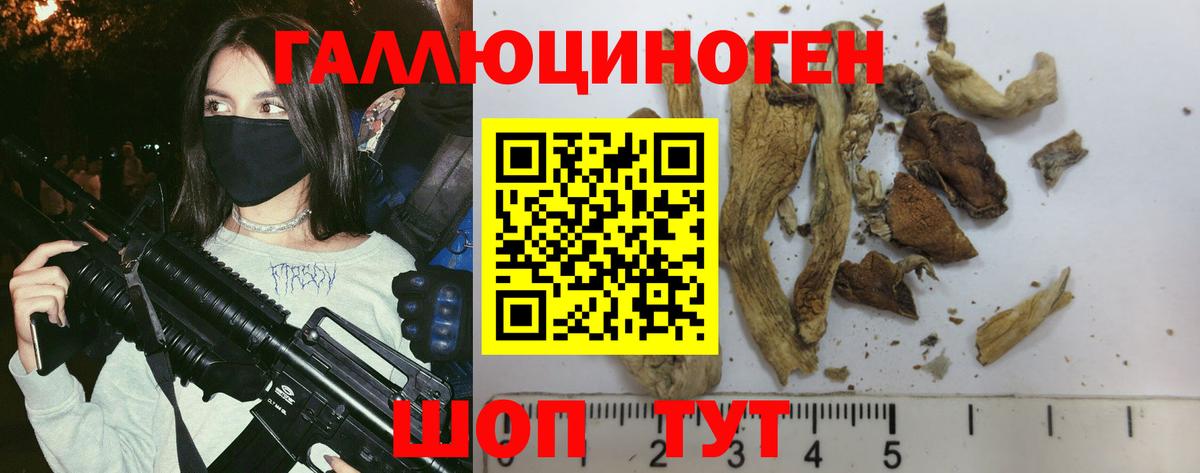 Галлюциногенные грибы GOLDEN TEACHER  Вход с VPN  Псилоцибиновые грибы Cubensis  Воронеж 