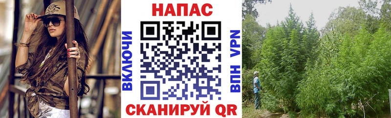 darknet официальный сайт Воронеж Бошки марихуана тримм